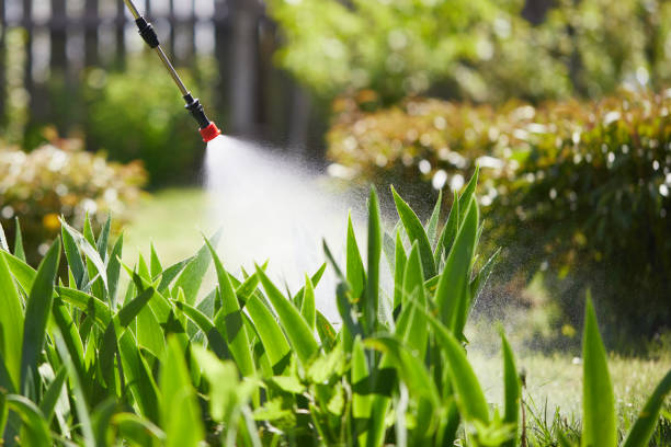 Tamper-Resistant Bait Stations for Rodents in Atwater