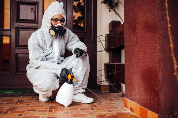 Attic and Crawl Space Rodent Treatment in Atwater