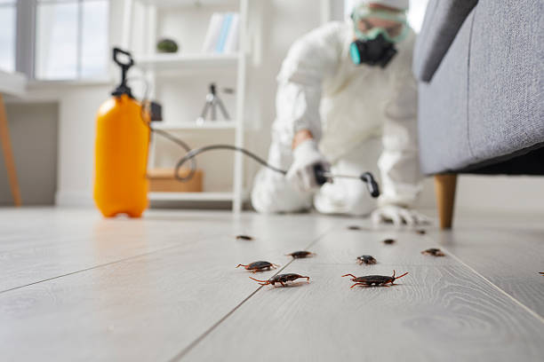 Commercial Rodent Management in Atwater